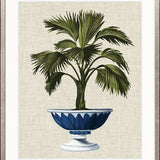 Ornate Palm I
