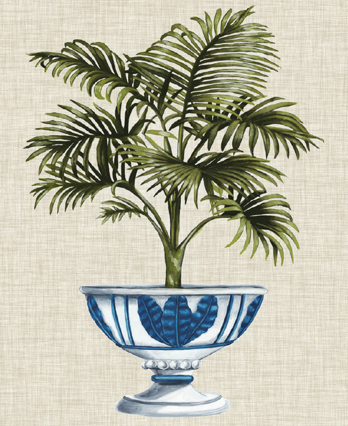 Ornate Palm II (Canvas)