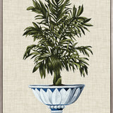 Ornate Palm III (Canvas) Large (903mm W x 1109mm H)