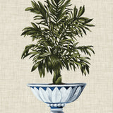 Ornate Palm III (Canvas) Large (903mm W x 1109mm H)