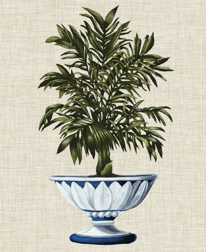 Ornate Palm III (Canvas)