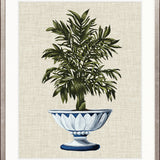 Ornate Palm III