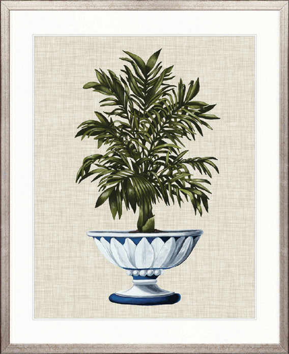 Ornate Palm III