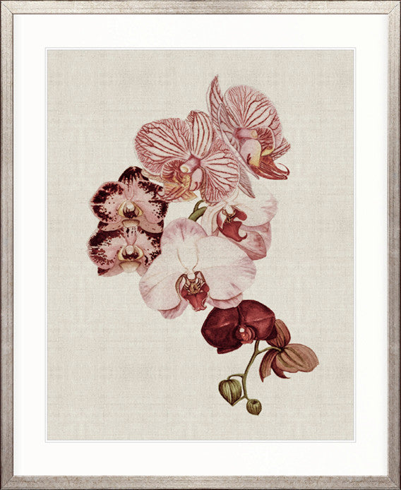 Delicate Orchid Bouquet I