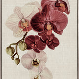 Delicate Orchid Bouquet II Canvas