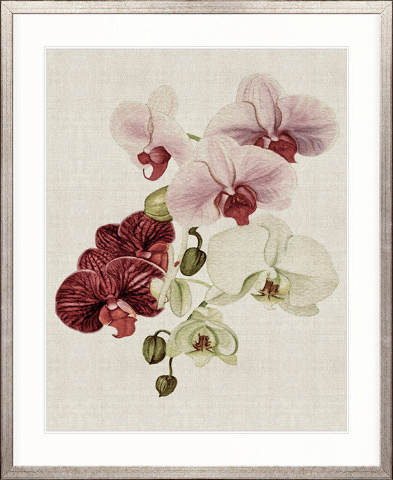 Delicate Orchid Bouquet III