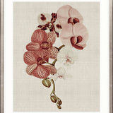 Delicate Orchid Bouquet IV