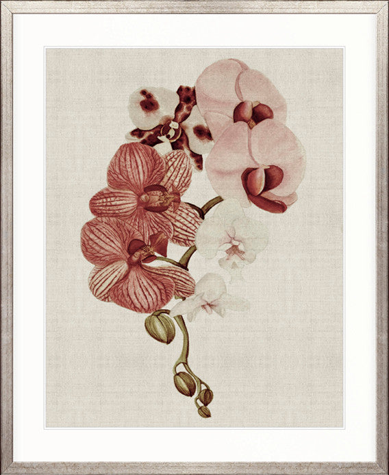 Delicate Orchid Bouquet IV