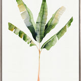 Sundrift Tropics I (Canvas) Large (903mm W x 1109mm H)