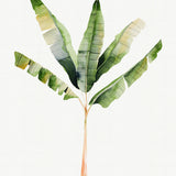 Sundrift Tropics I (Canvas) Large (903mm W x 1109mm H)