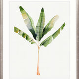 Sundrift Tropics I X-Large (1000mm W x 1400mm H) / Clear Acrylic