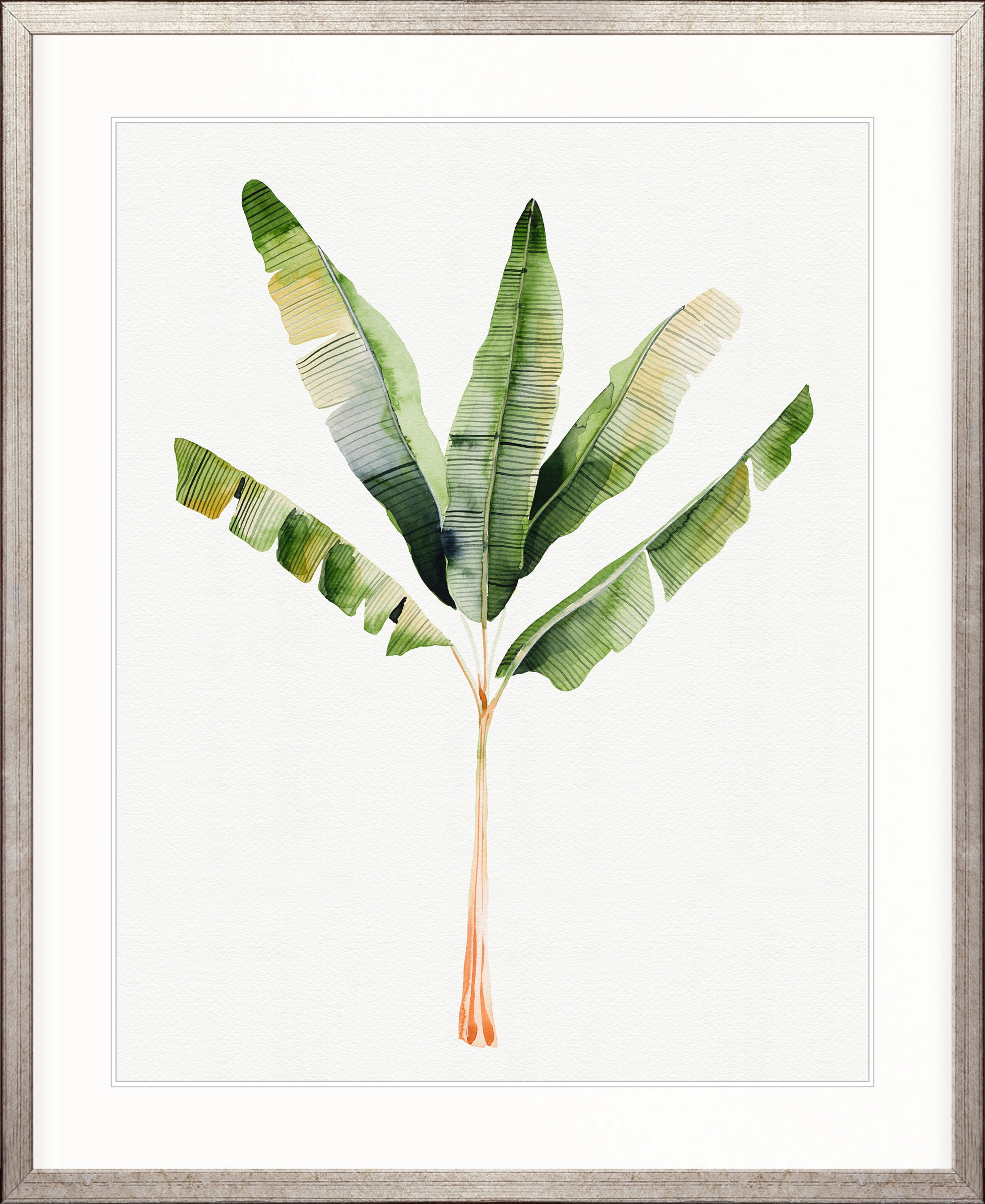 Sundrift Tropics I