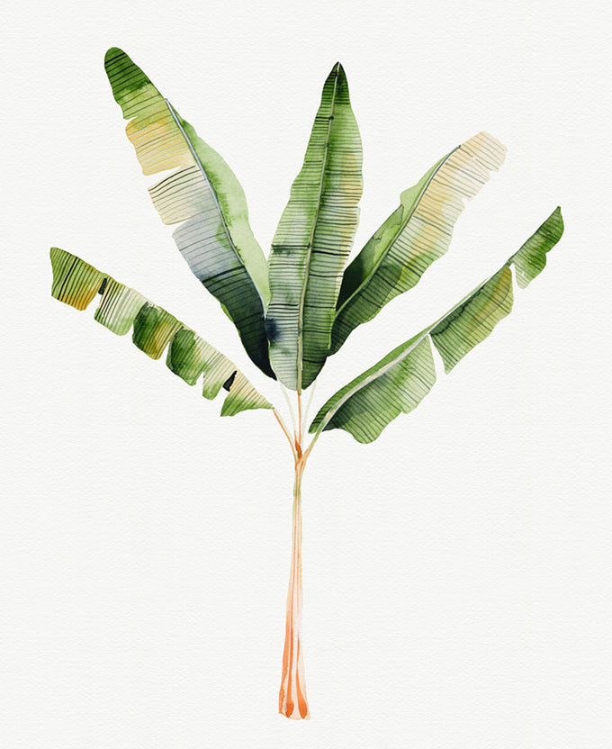 Sundrift Tropics I
