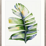 Sundrift Tropics II X-Large (1000mm W x 1400mm H) / Clear Acrylic