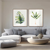 Sundrift Tropics II X-Large (1000mm W x 1400mm H) / Clear Acrylic