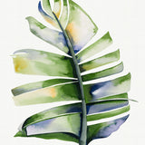 Sundrift Tropics II