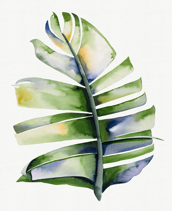Sundrift Tropics II
