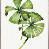 Sundrift Tropics III (Canvas) Large (903mm W x 1109mm H)