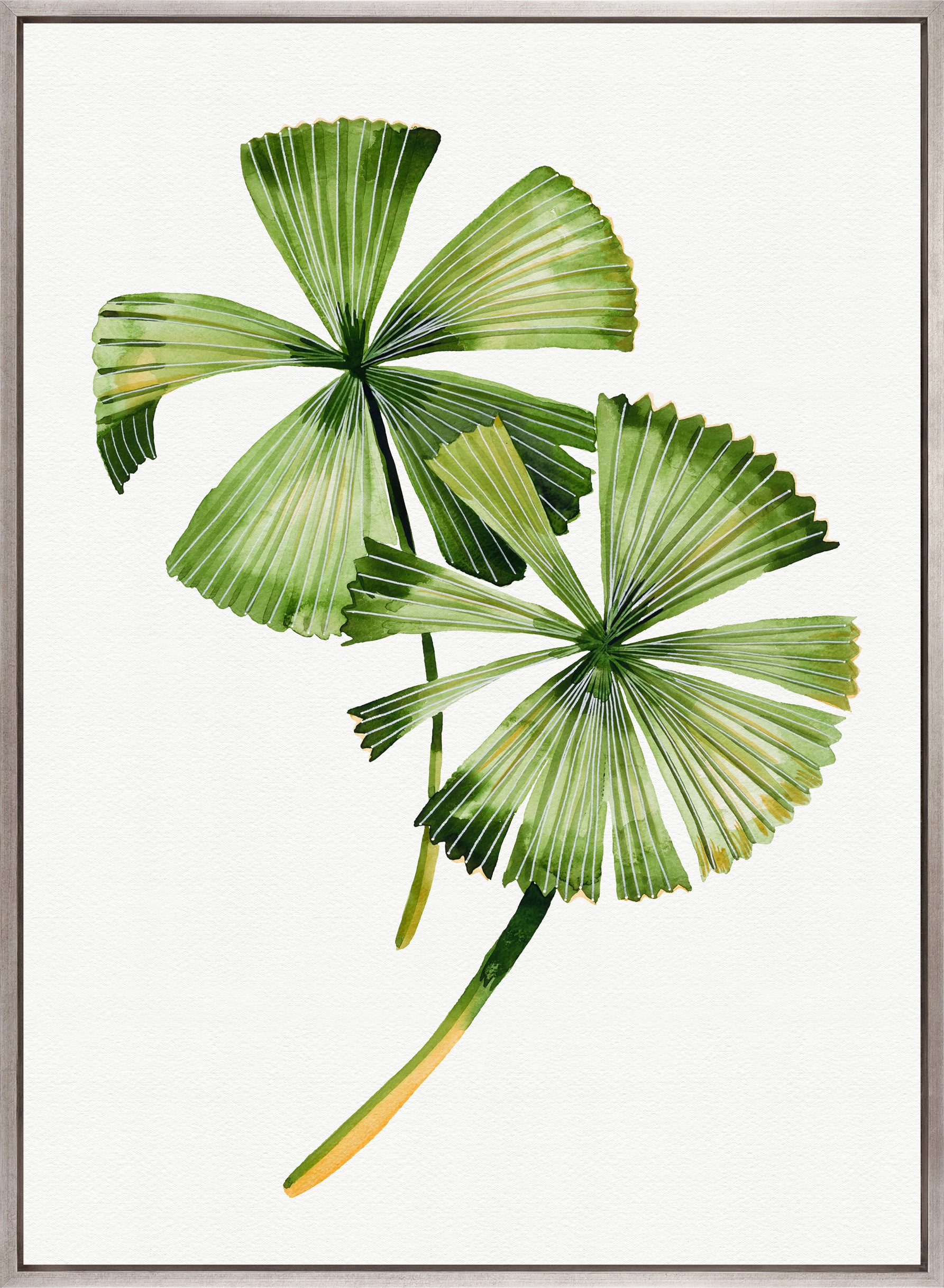 Sundrift Tropics III (Canvas)