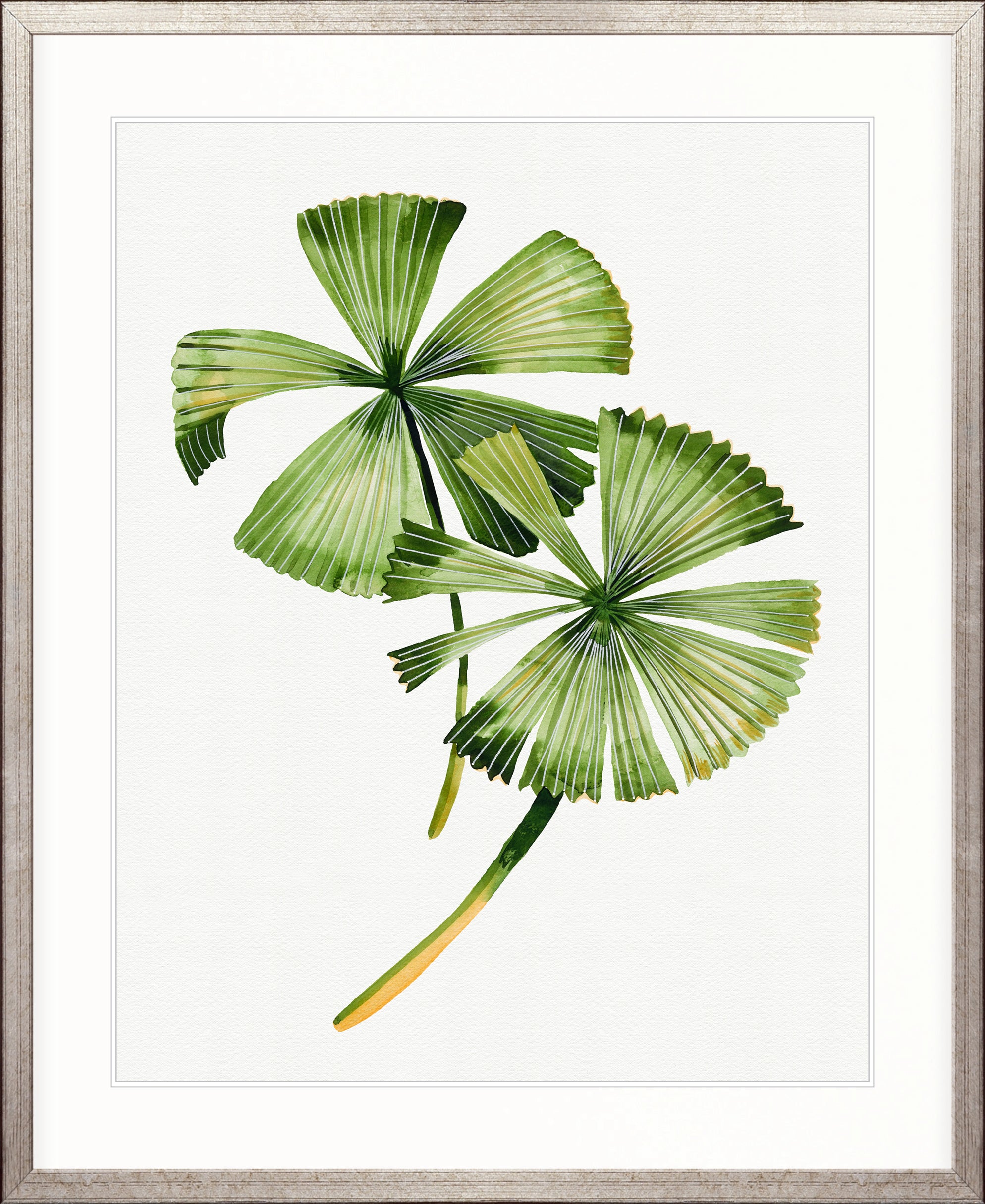 Sundrift Tropics III