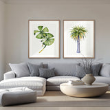 Sundrift Tropics III X-Large (1000mm W x 1400mm H) / Clear Acrylic