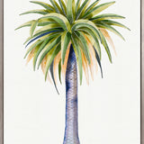 Sundrift Tropics IV (Canvas) Large (903mm W x 1109mm H)