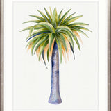 Sundrift Tropics IV X-Large (1000mm W x 1400mm H) / Clear Acrylic