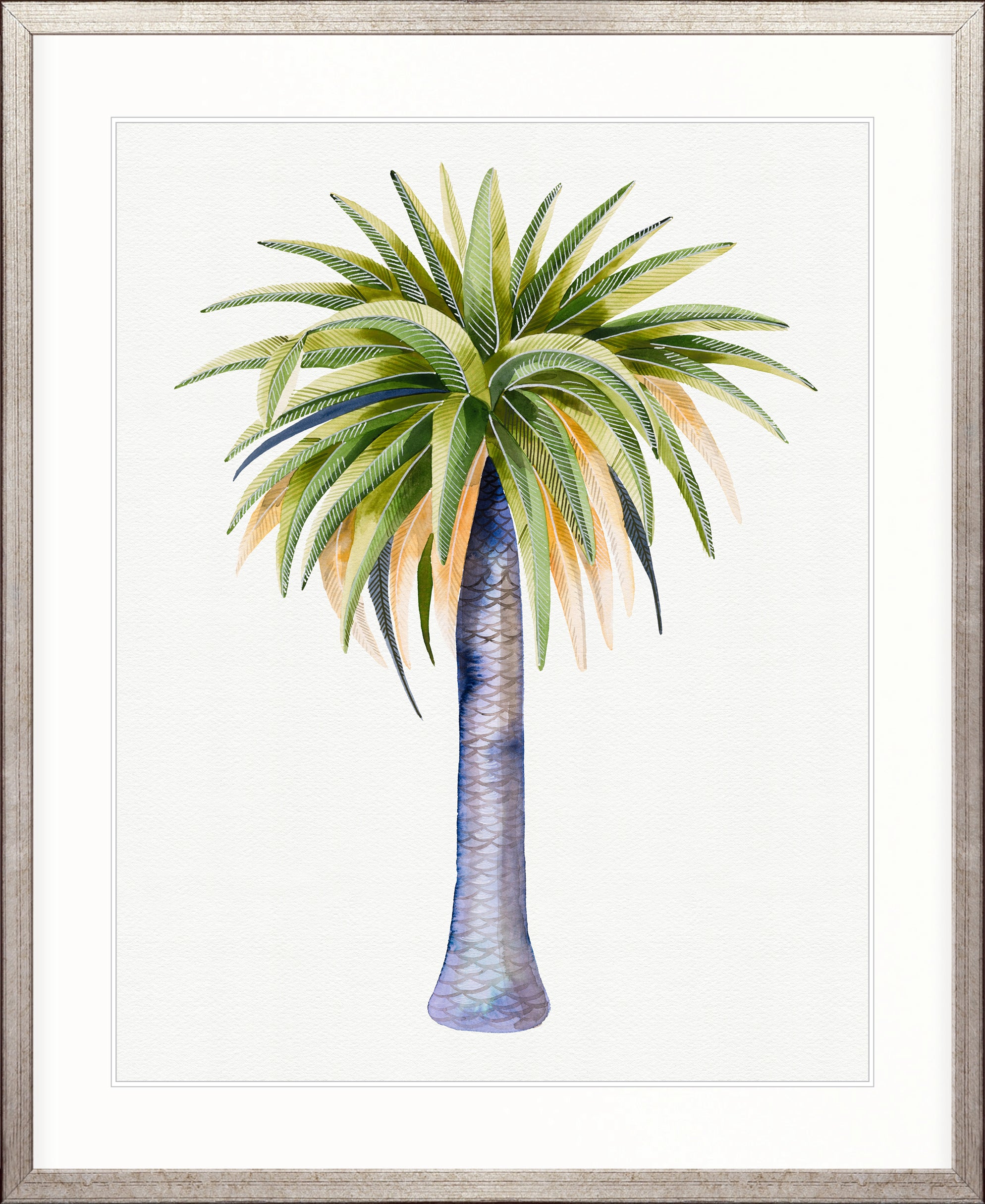 Sundrift Tropics IV