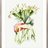 Sundrift Tropics VI X-Large (1000mm W x 1400mm H) / Clear Acrylic