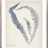 Nature Print II