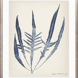 Nature Print III