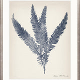 Nature Print IV