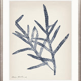Nature Print V