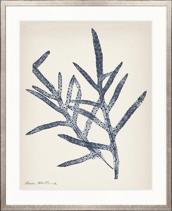Nature Print V