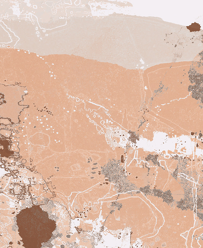 Tanami Plains I