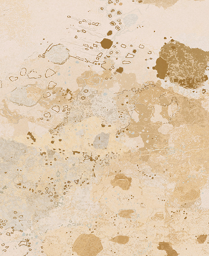 Tanami Plains IV