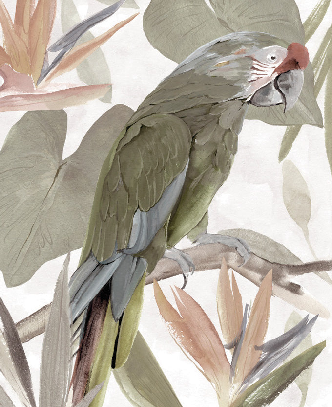 Tariku Tropical Bird I (Canvas)