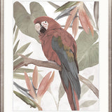 Tariku Tropical Bird II