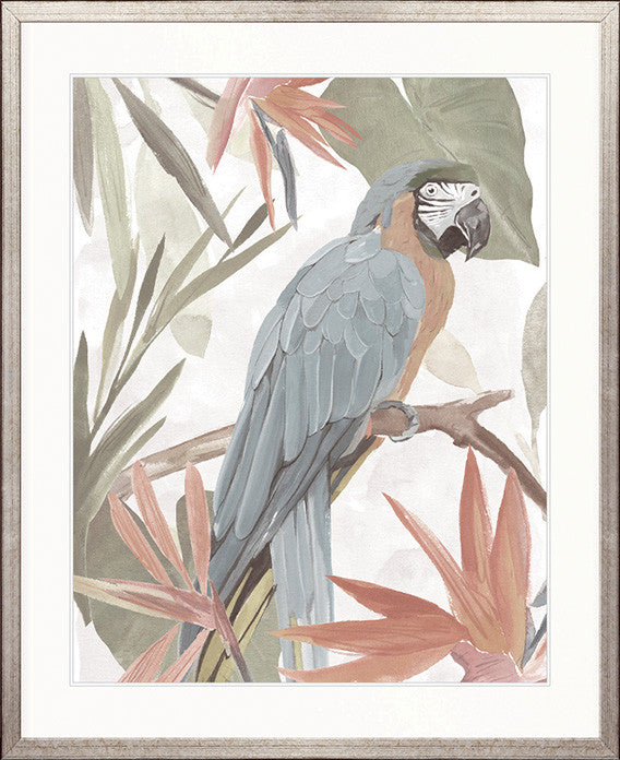 Tariku Tropical Bird IV