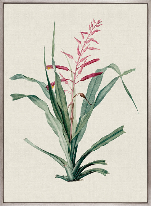 Tiverton Floral II (Canvas)