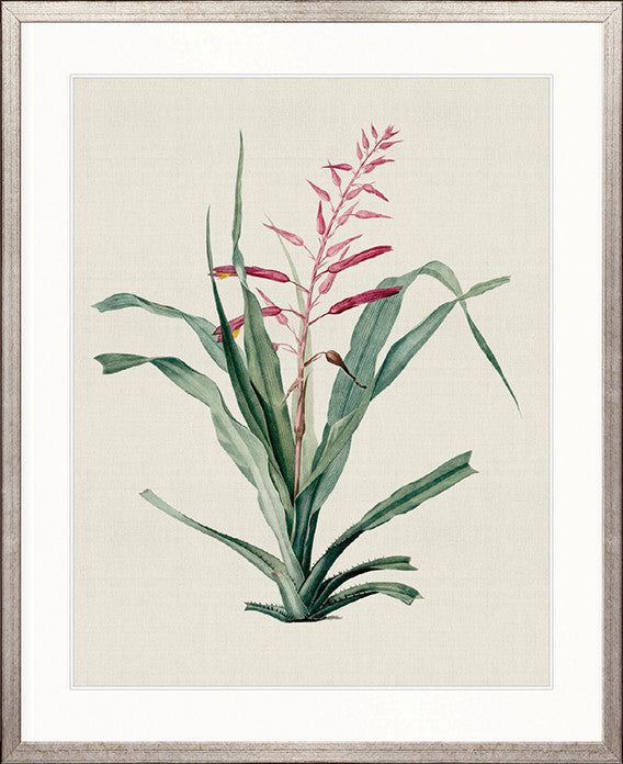 Tiverton Floral II