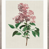 Tiverton Floral IV