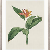 Tiverton Floral VI