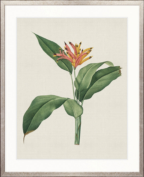 Tiverton Floral VI