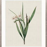 Tiverton Floral VII