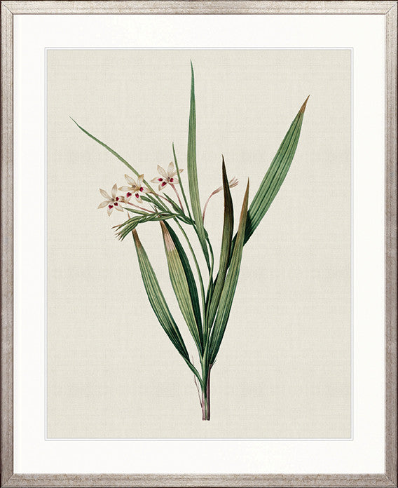 Tiverton Floral VII
