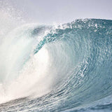 Trade Winds II X-Large (1000mm W x 1400mm H) / Clear Acrylic