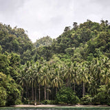 Trade Winds IV (Canvas) Large (1109mm W x 903mm H)