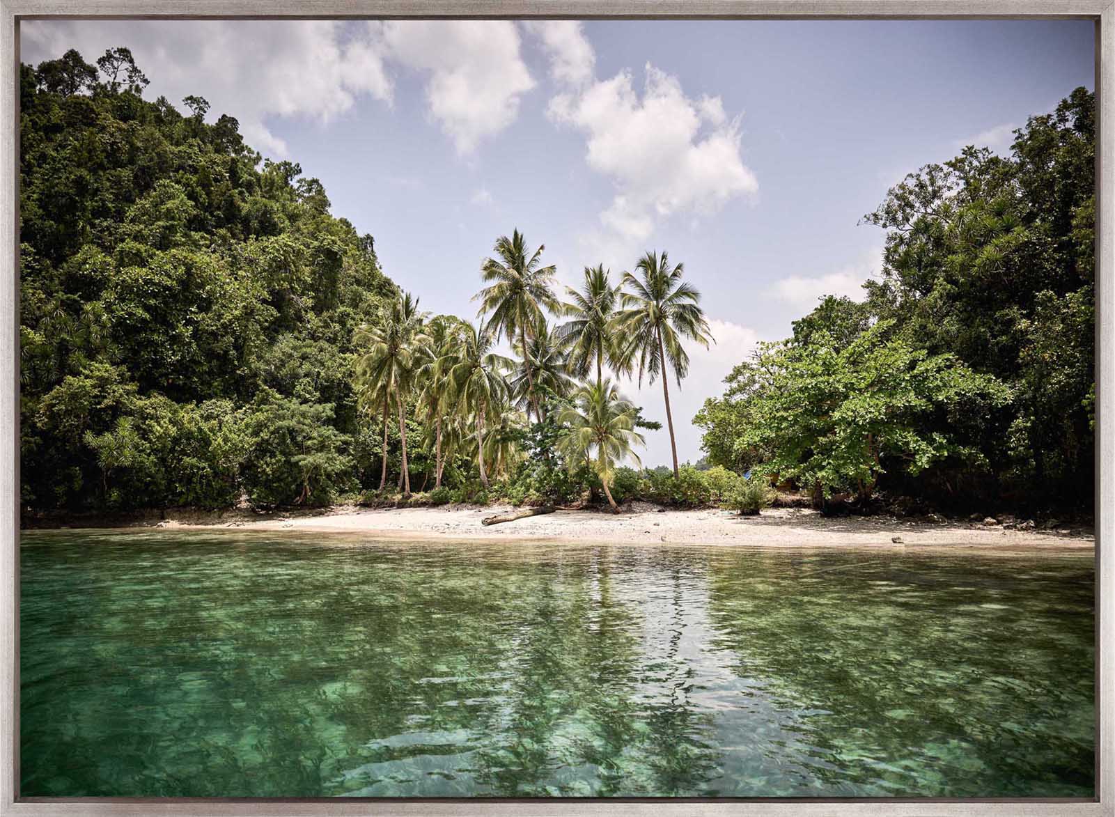 Trade Winds V (Canvas)