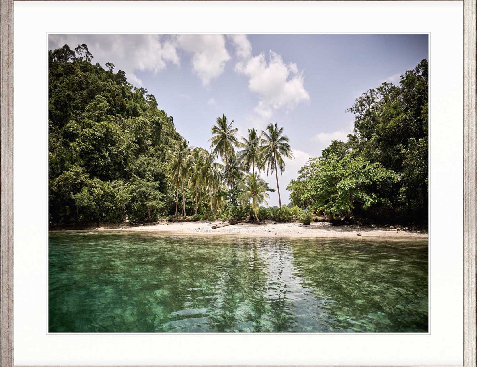 Trade Winds V